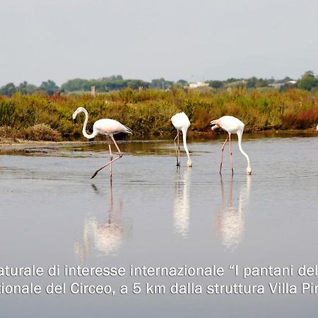 Villa Piri 萨包迪亚 外观 照片